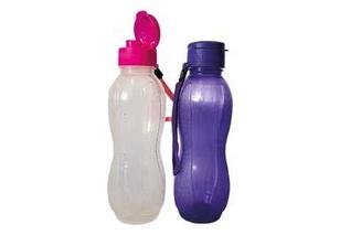 Water Bottle WB10